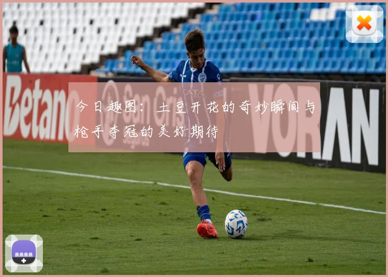 今日趣图：土豆开花的奇妙瞬间与枪手夺冠的美好期待